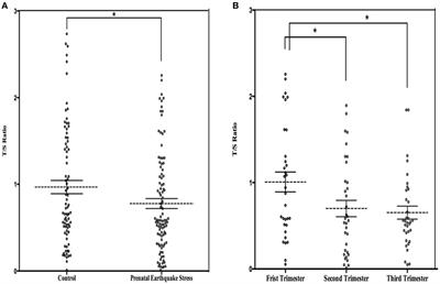 Earthquake Experience at Different Trimesters during Pregnancy Is Associated with Leukocyte Telomere Length and Long-term Health in Adulthood